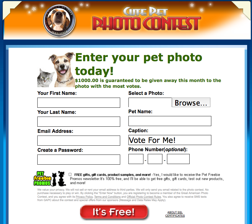 cutest pet contest